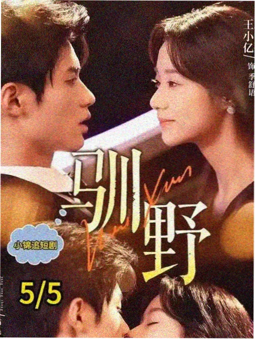 边境风云 完整版高清